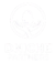 dnichepartners.com